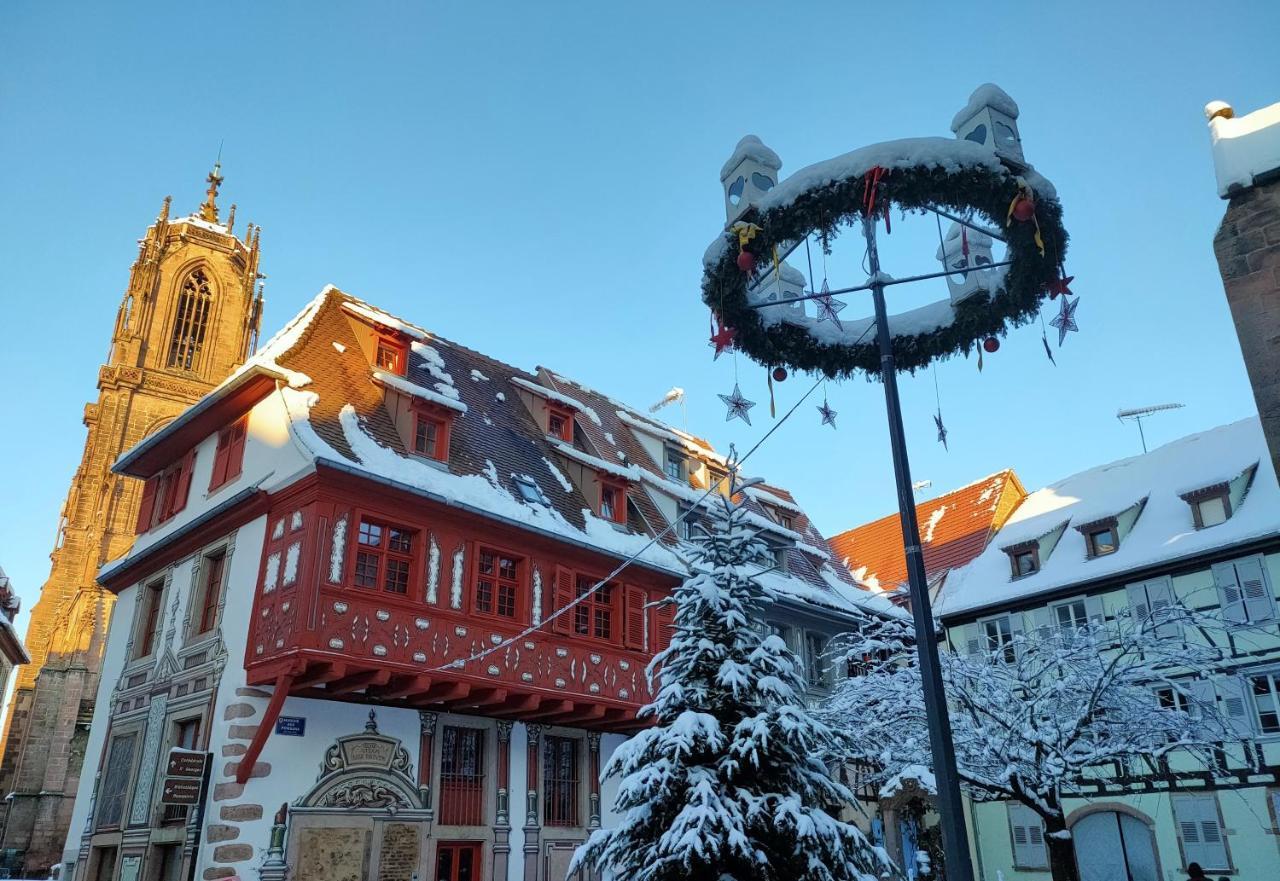 La Maison Bleue, A 20 Mn De Strasbourg, Sur La Route Des Vins, Jusqu'a 6 Personnes, * Selestat