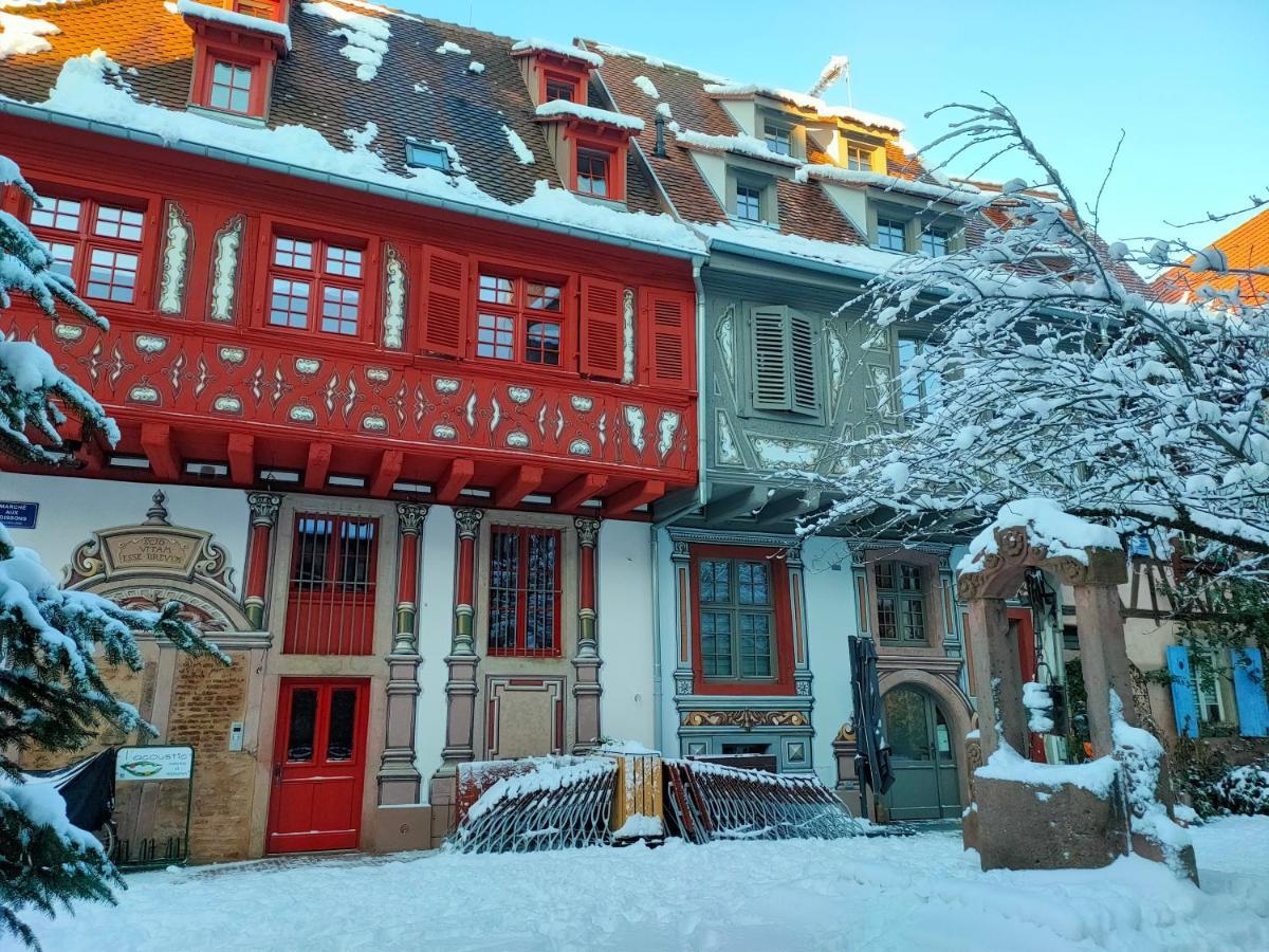 Holiday home La Maison Bleue, A 20 Mn De Strasbourg, Sur La Route Des Vins, Jusqu'a 6 Personnes, Selestat
