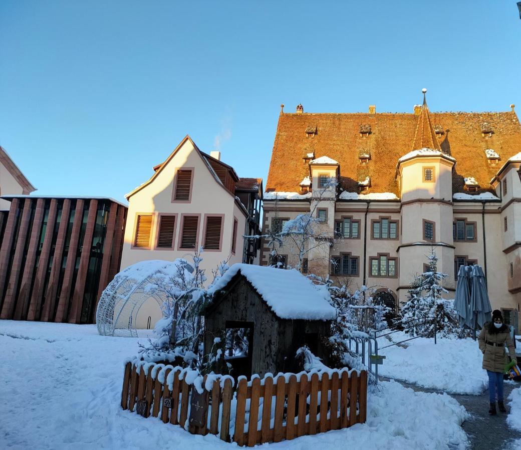 La Maison Bleue, A 20 Mn De Strasbourg, Sur La Route Des Vins, Jusqu'a 6 Personnes, Holiday home *