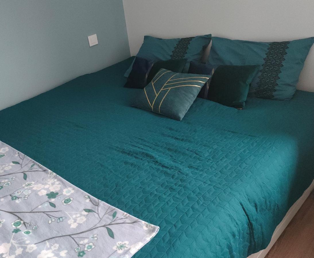 Holiday home La Maison Bleue, A 20 Mn De Strasbourg, Sur La Route Des Vins, Jusqu'a 6 Personnes, Selestat